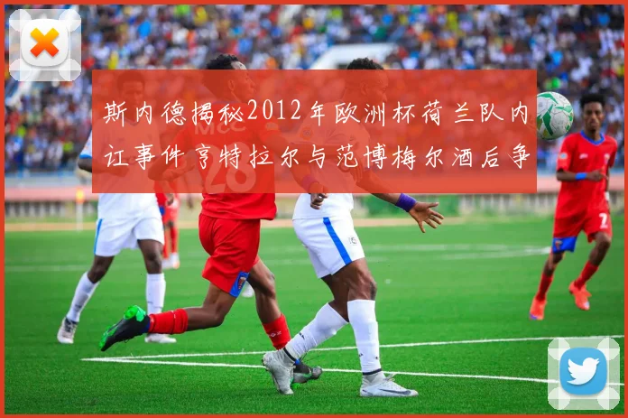 斯内德揭秘2012年欧洲杯荷兰队内讧事件亨特拉尔与范博梅尔酒后争执内幕