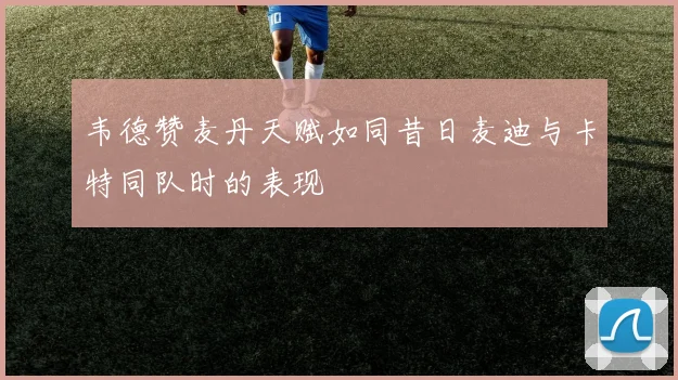 韦德赞麦丹天赋如同昔日麦迪与卡特同队时的表现